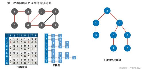 圖的遍歷算法 深度優先搜索與廣度優先搜索及其存儲支持服務詳解