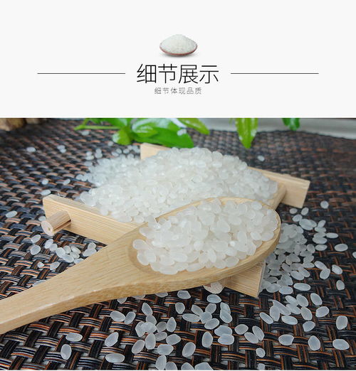 東北圓粒大米 一碗粥里的土地饋贈與商業邏輯