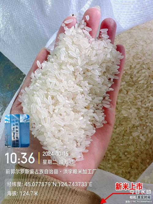 中科發5長粒香大米 科技賦能下的餐桌新寵